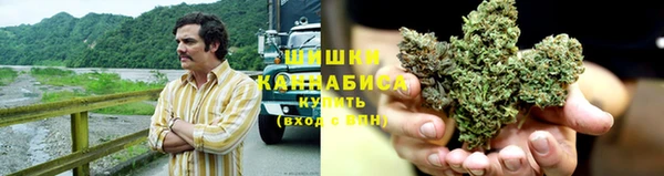 шишки Балабаново