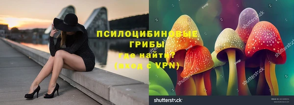 винт Баксан