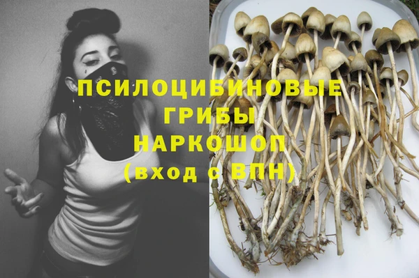 шишки Балабаново