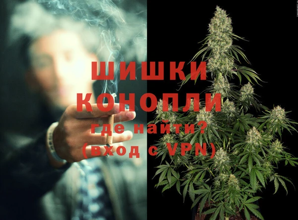шишки Балабаново