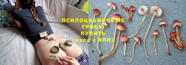 винт Баксан